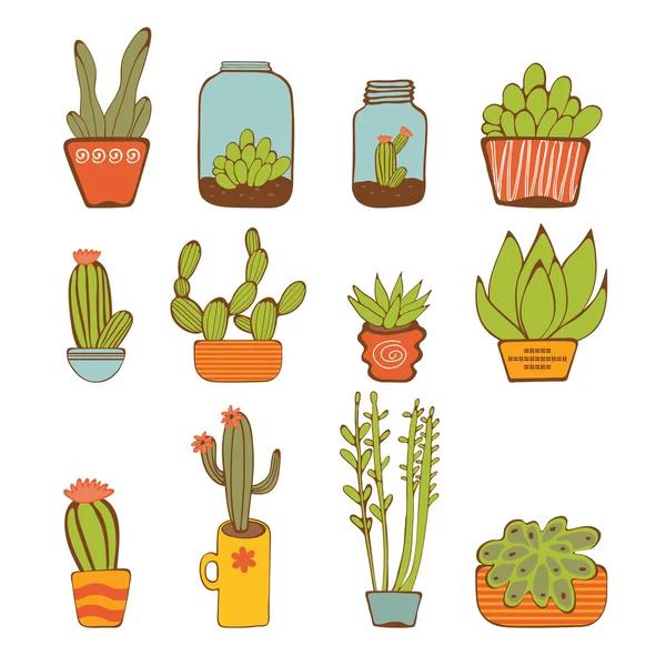 Schöne Reihe von handgezeichneten Zimmerpflanzen — Stockvektor