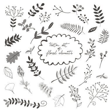 Çiçekler yaprak ve dal ile zarif toplama