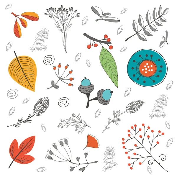 Autumn foliage set with twigs flowers and leaves — Stock Vector