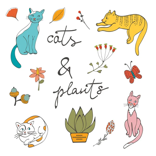 Ilustración de gatos plantas flores y ramitas — Vector de stock