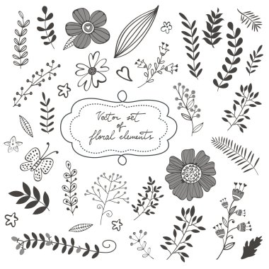 Elegant collection with flowers leaves and twigs clipart