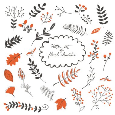 Elegant collection with flowers leaves and twigs clipart