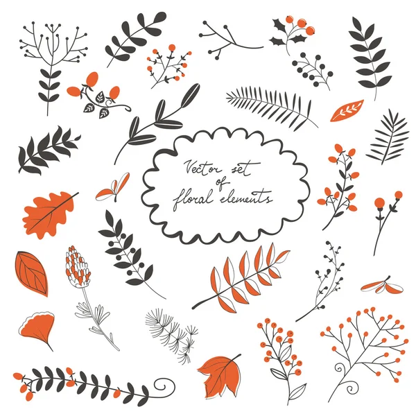 Elégante collection de fleurs feuilles et brindilles — Image vectorielle