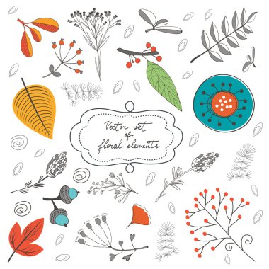 Çiçekler yaprak ve dal ile zarif toplama