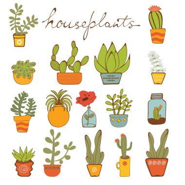 Elle çizilmiş houseplants güzel dizi