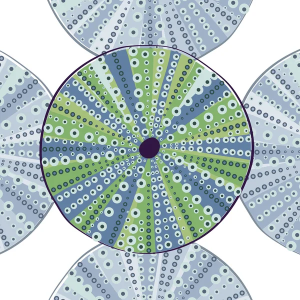 Mořský ježek barevné ilustrace — Stockový vektor