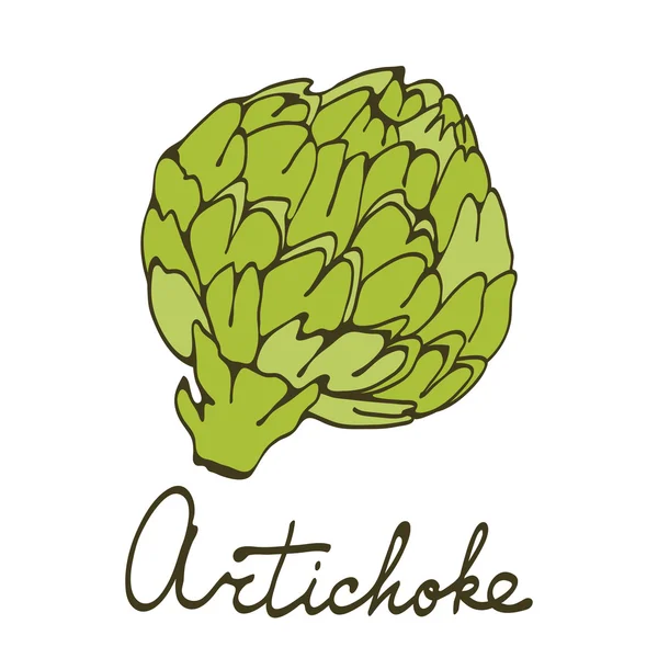 Cartão colorido desenhado à mão com alcachofra —  Vetores de Stock