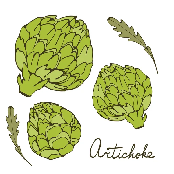 Colorful hand drawn card with artichoke — Stock Vector