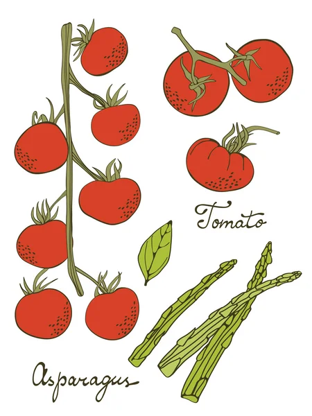 Цветной набор свежих овощей ручной работы — стоковый вектор