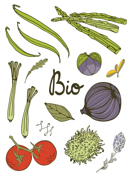 Ensemble coloré de légumes frais dessinés à la main — Image vectorielle