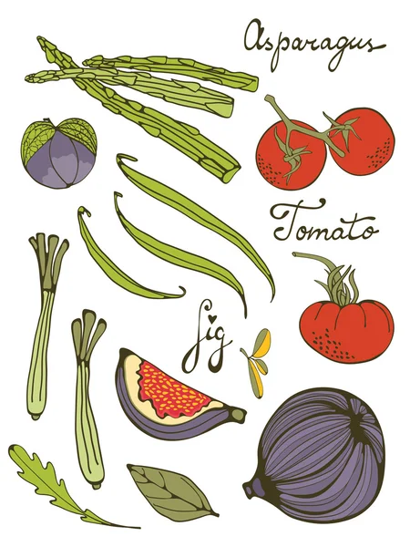 手写的新鲜水果和蔬菜套彩色 — 图库矢量图片