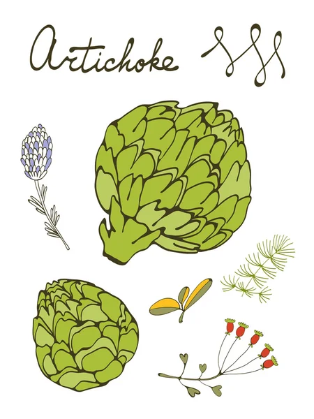 Colorful set of fresh hand drawn artichokes — Stock Vector