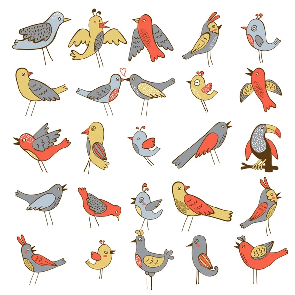 Cute collection of funny birds — Stock Vector