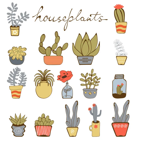 Linda colección dibujada a mano de plantas de la casa — Vector de stock