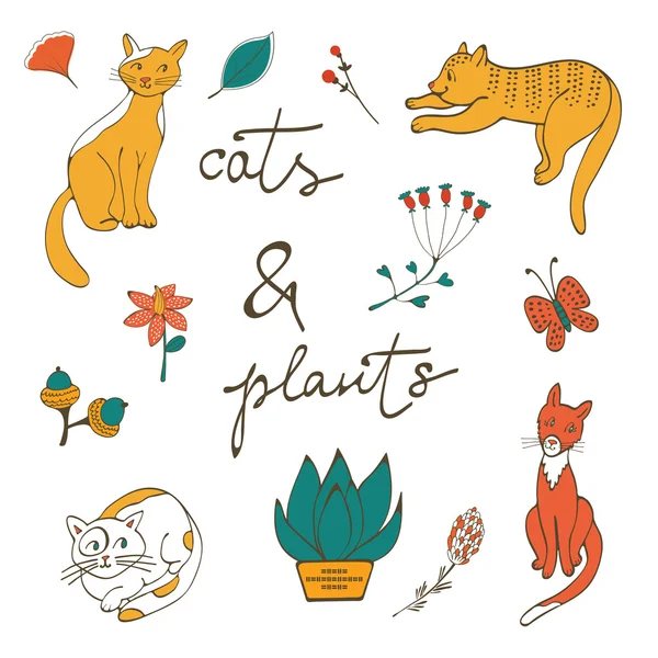 Illustration of cats plants flowers and twigs — Stock Vector