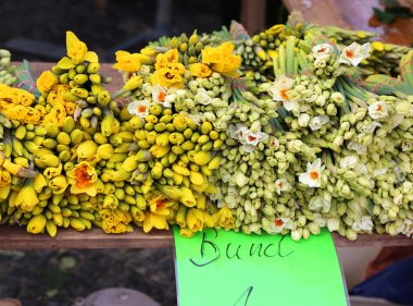 Taze kesilmiş bahar çiçekleri çiftçilere piyasa satış