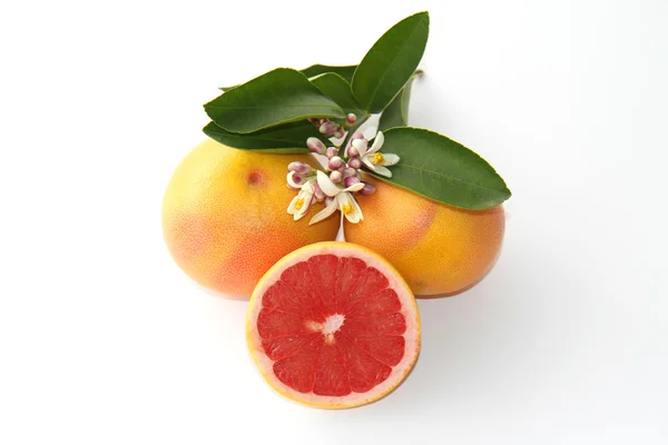 Grapefruits isoliert auf weiß — Stockfoto