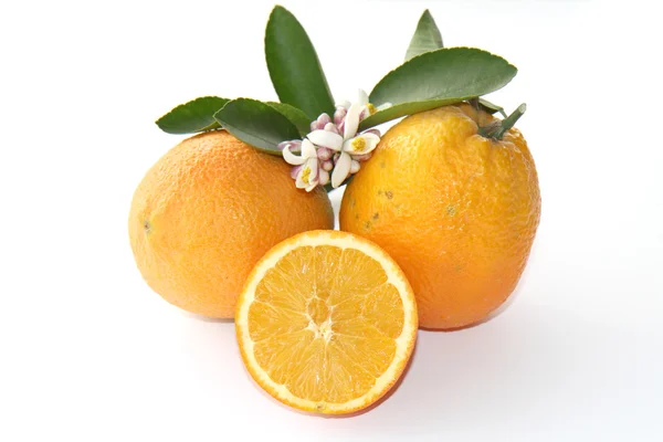 Naranjas aisladas en blanco —  Fotos de Stock