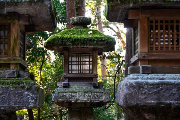 Stone Wood Lantern Shinto Shrine Japan — Stock Photo, Image