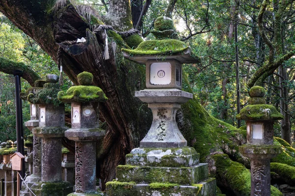 Lanterna Pedra Santuário Xintoísmo Japão — Fotografia de Stock