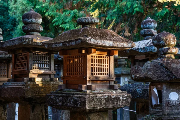 Linterna Piedra Madera Santuario Sintoísta Japón —  Fotos de Stock