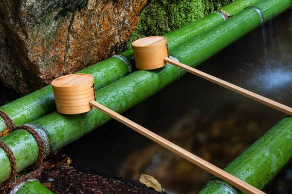 Conchas Para Purificação Água Entrada Santuário Xintoísmo Japão — Fotografia de Stock