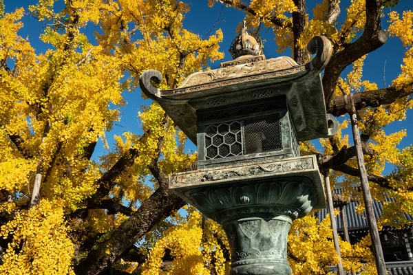 Stone Lantern Buddhist Temple Japan Stunning Yellow Tree Background — Stock Photo, Image