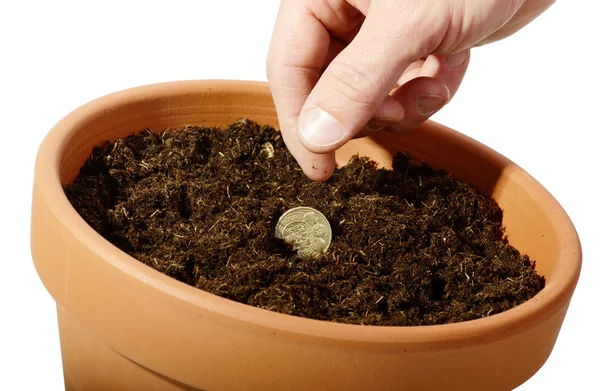Sowing a Coin seed — Stock Photo, Image