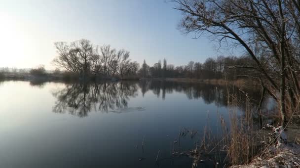 Vinter på Havel floden. Willow försöker längs floden återspeglar i vattnet. blå himmel och solsken. — Stockvideo