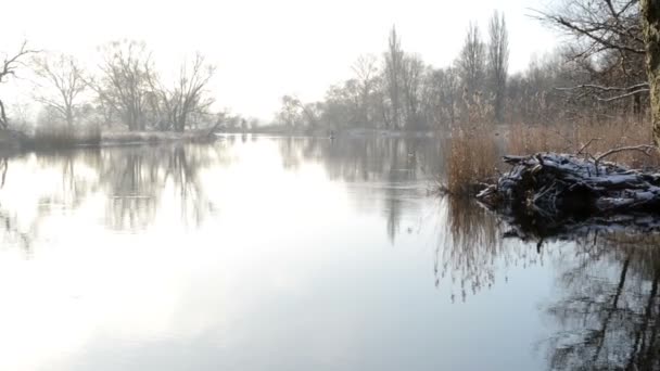 Vinter på Havel floden. Willow försöker längs floden återspeglar i vattnet. blå himmel och solsken. — Stockvideo