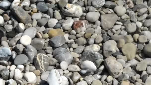 Rocas en el río Isar. agua que fluye sobre las piedras . — Vídeo de stock