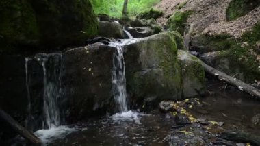  vahşi akışı Brodenbach Mosel Nehri'nin yanında. Şelaleler ve taşlar. Tabiat manzarası. (Almanya, Rheinland-Pfalz)