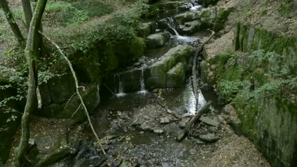 Donnersloch. wild stream Brodenbach next to Mosel River. Waterfalls and stones. wild landscape. (Germany, Rhineland-palatinate) — Stockvideo