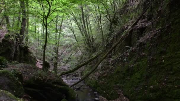 野流 Brodenbach 摩泽尔河旁边。瀑布和石头。野生的景观。（德国，莱茵兰-普法尔茨) — 图库视频影像