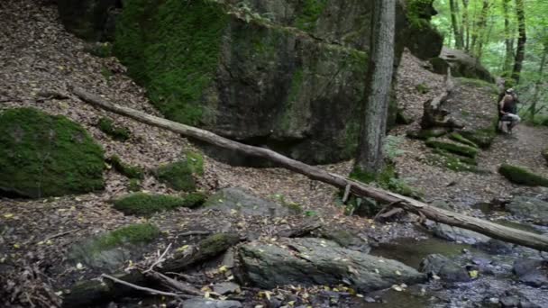 Divoký proud Brodenbach řeky Mosely. Vodopády a kameny. divoká krajina. (Německo, Porýní Falc) — Stock video