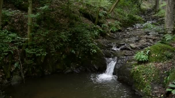 Wildbach Brodenbach an der Mosel. Wasserfälle und Steine. Wilde Landschaft. (deutschland, Rheinland-Pfalz) — Stockvideo