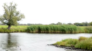 Havel Nehri. tipik peyzaj çayır ve willow ile çalışır. Havelland bölge. (Almanya)