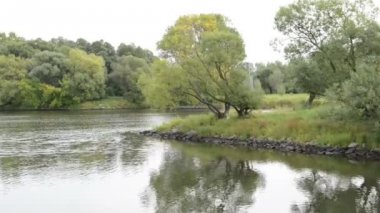 Havel Nehri. tipik peyzaj çayır ve willow ile çalışır. Havelland bölge. (Almanya)