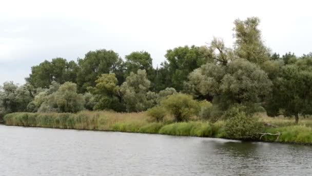 Rivier de Havel. typische landschap met weilanden en wilg probeert. Havelland regio. (Duitsland) — Stockvideo