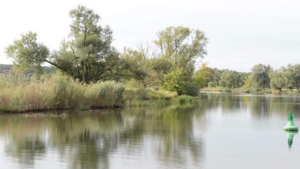 Havel river. typical landscape with meadows and willow tries. Havelland region. (Germany) — Stock Video