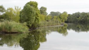 Havel Nehri. tipik peyzaj çayır ve willow ile çalışır. Havelland bölge. (Almanya)