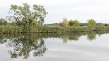 Havel Nehri. tipik peyzaj çayır ve willow ile çalışır. Havelland bölge. (Almanya)