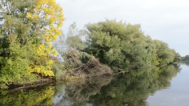 Река Гавел. типичный пейзаж с лугами и ивами. Регион Хафелланд. (Германия ) — стоковое видео