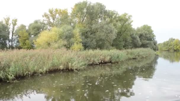 Havel floden. typiska landskap med ängar och willow försöker. Havelland regionen. (Tyskland) — Stockvideo