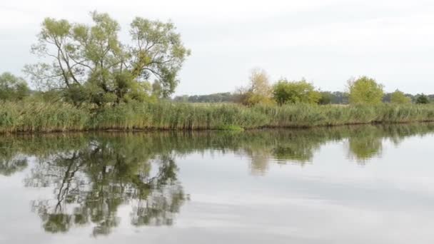 Il fiume Havel. paesaggio tipico con prati e salici. Regione di Havelland. (Germania) ) — Video Stock