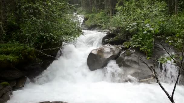 Ροή νερού και τοπίου της κοιλάδας Wildgerlos στο απόθεμα των Άλπεων Zillertal — Αρχείο Βίντεο