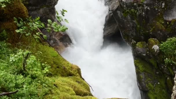 齐勒塔尔阿尔卑斯山的溪水和维尔德格洛斯山谷的景观 — 图库视频影像
