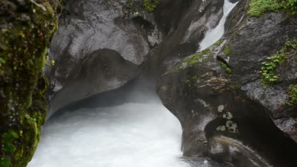 Cours d'eau et paysage de la vallée de Wildgerlos à Zillertal Alpes Stock — Video