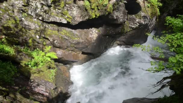 Fluxo de água e paisagem de Wildgerlos Valley em Zillertal Alps Stock — Vídeo de Stock