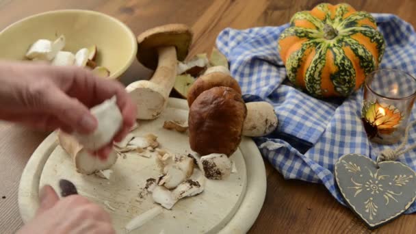 Cleaning penny bun mushrooms with knife to cook a meal. — Stock Video